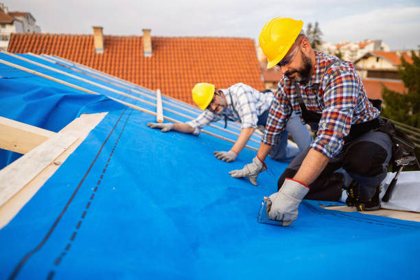 Best Roof Leak Repair  in Haubstadt, IN